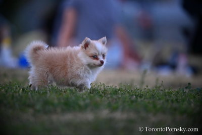 June29_20_160.jpg