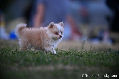 June29_20_161.jpg