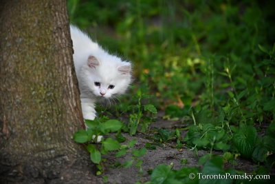 June16_20_133.jpg