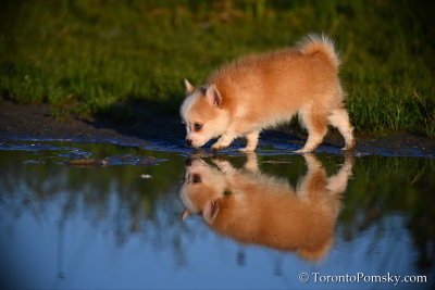 Aug7_20_075.jpg