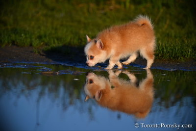 Aug7_20_076.jpg