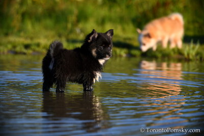 Aug6_20_090.jpg