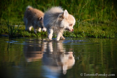 Aug6_20_128.jpg