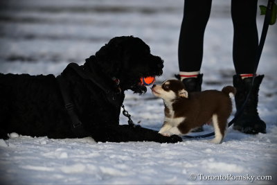 Feb4_21_148.jpg