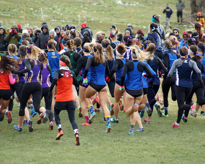 Queen's @ USports XCountry 03597 copy.jpg