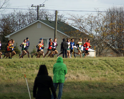 Queen's @ USports XCountry 03888 copy.jpg