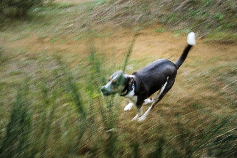 Camera Shake