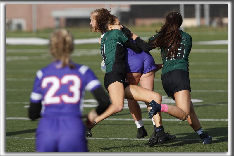 _HP_8628_copy_a_copy.jpg