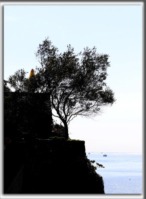 _P0A2871 b copy.jpg