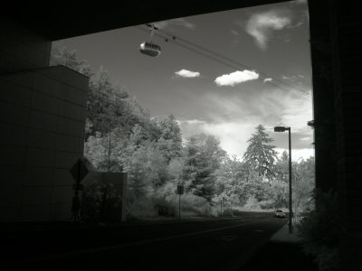 IR Casey Eye and the Tram.JPG