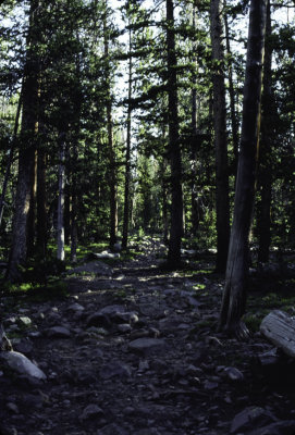 High Uintas Hike 1995