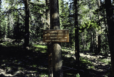 High Uintas Hike 1995