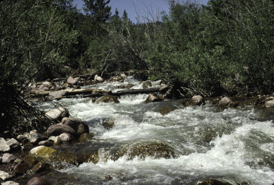 High Uintas Hike 1995