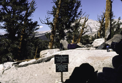 Golden Trout wilderness Hike 1996