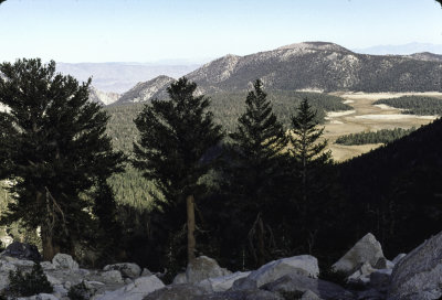 Golden Trout wilderness Hike 1996