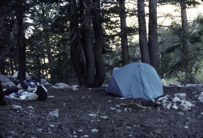 Golden Trout wilderness Hike 1996