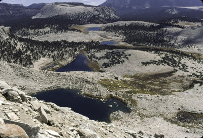 Golden Trout wilderness Hike 1996