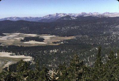 Golden Trout wilderness Hike 1996