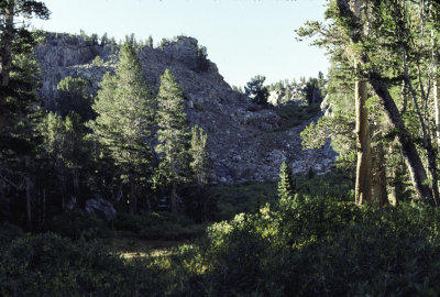 Evolution Basin Hike 1997