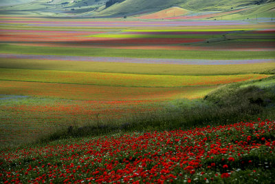 Castelluccio di Norcia (Italy)