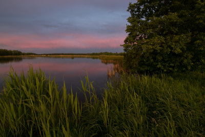 avondrood
