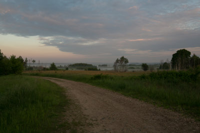 morgenstond