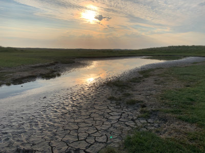 Landschap