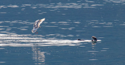 IMG_3395.jpg