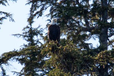 IMG_3910.jpg