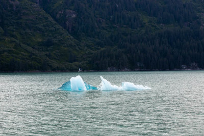 IMG_3979.jpg