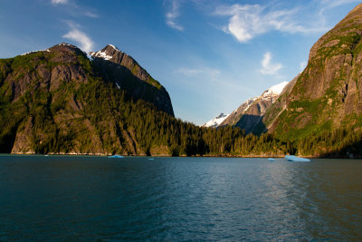 IMG_4003.jpg