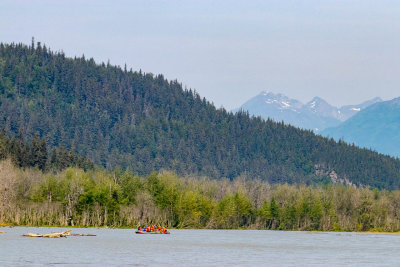 IMG_4368.jpg