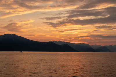IMG_4456.jpg
