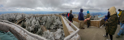 20210401_142142.jpg