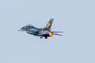 IMG_6206.jpg