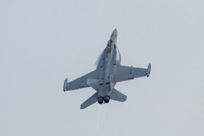 IMG_6295.jpg