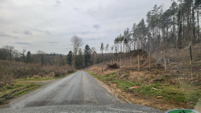20220317_134649.jpg