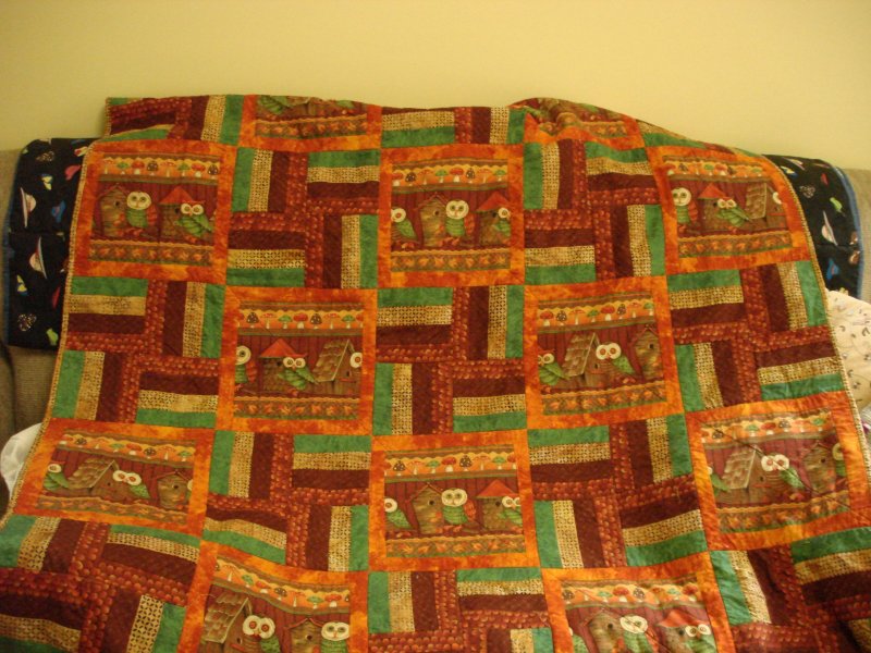 Mom 6 - Owl Quilt, Hospice House - 2009