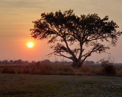 Another Kafue Sunrise