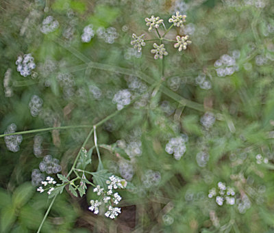 DSC_0389edit.jpg