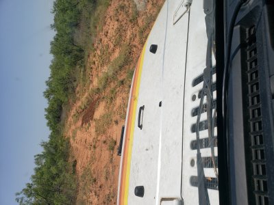 Hogs Are Tearing Up the Road
