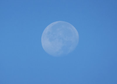 Daytime Moon