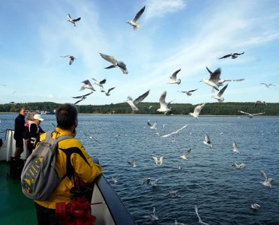 _DSC4656-Klaipeda-erry-to-Curonian-Spit.jpg