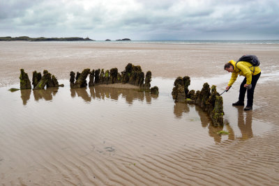 _DSC6611-Traeth-Penrhos.jpg