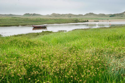 _DSC6639-Aberffraw-River.jpg