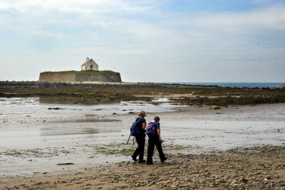 _DSC6667-Llangwyfan-Church.jpg
