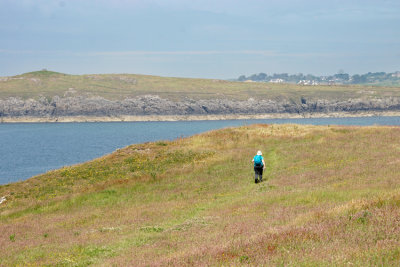 _DSC6677-Aberffraw-to-Rhosneigr.jpg