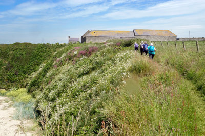 _DSC6685-Porth-Trecastell.jpg
