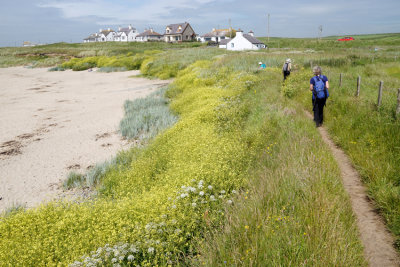 _DSC6694-Rhosneigr.jpg