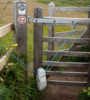 _DSC6731-Gate-Stop.jpg